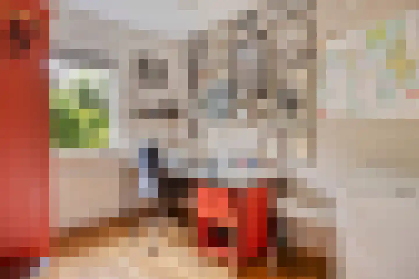 Wethouder Crezeelaan 3 Hooge Zwaluwe thumbnail 18