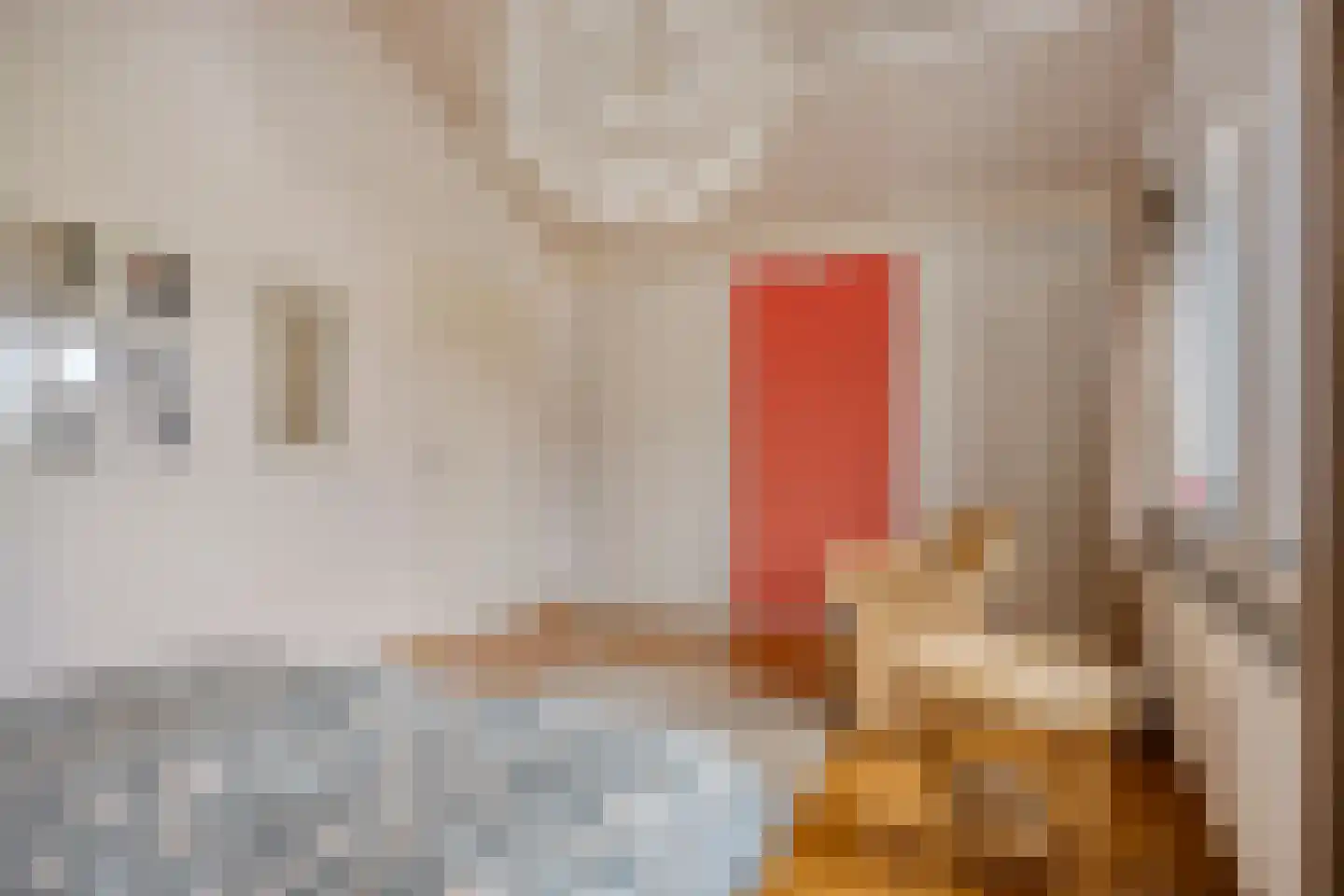 Wethouder Crezeelaan 3 Hooge Zwaluwe thumbnail 26