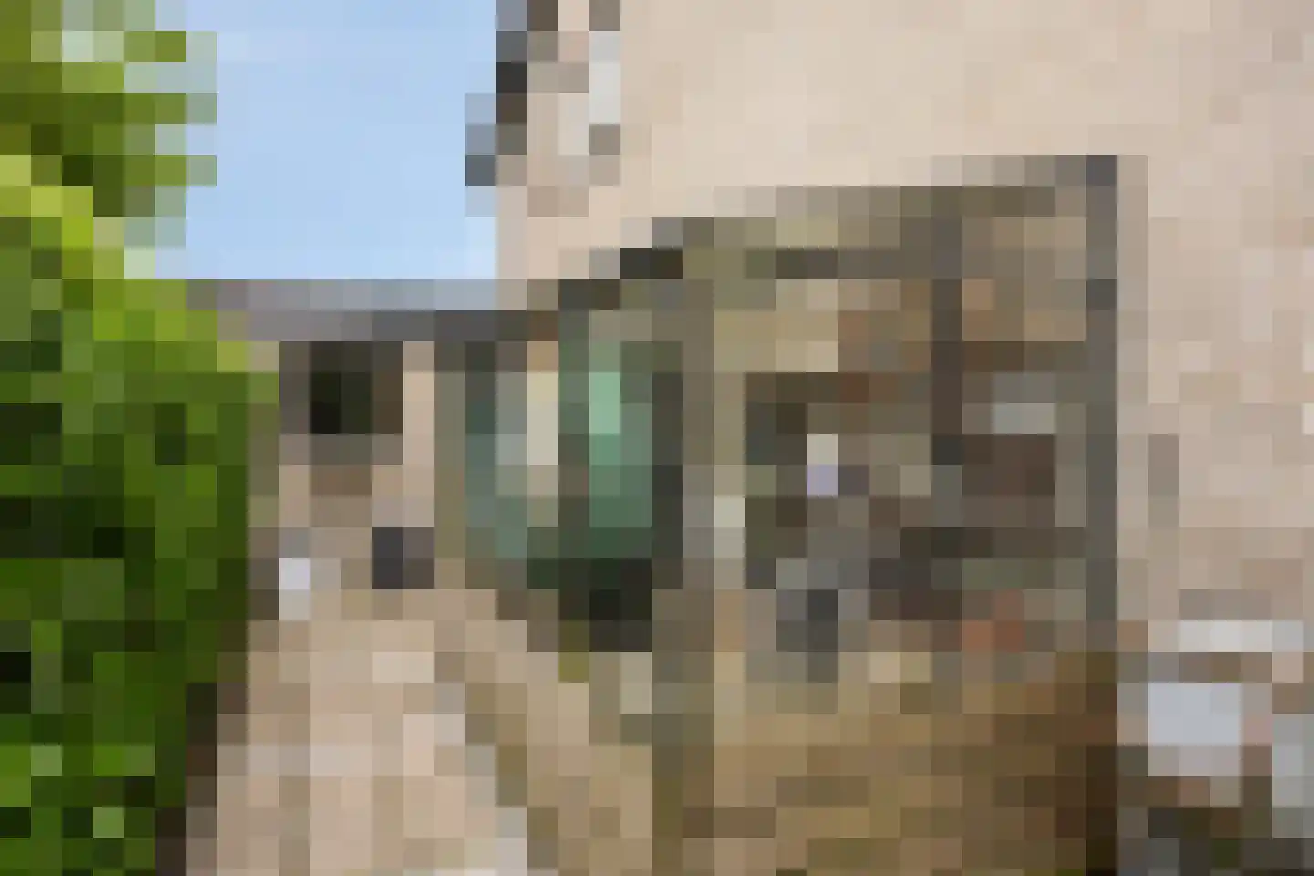 Wethouder Crezeelaan 3 Hooge Zwaluwe thumbnail 29
