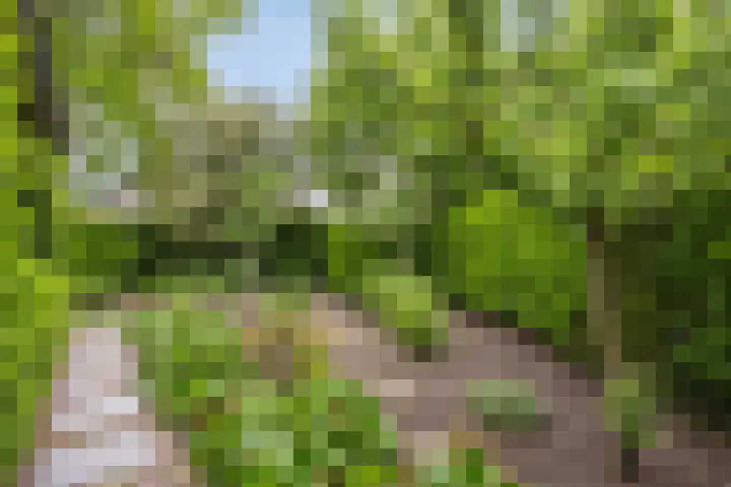 Wethouder Crezeelaan 3 Hooge Zwaluwe thumbnail 30