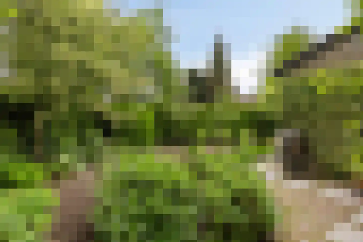 Wethouder Crezeelaan 3 Hooge Zwaluwe thumbnail 33
