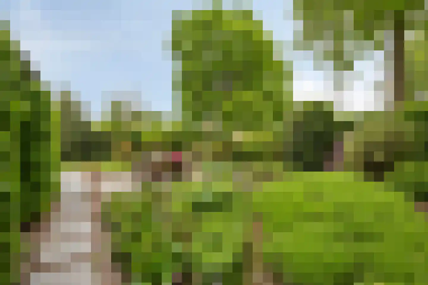 Wethouder Crezeelaan 3 Hooge Zwaluwe thumbnail 34