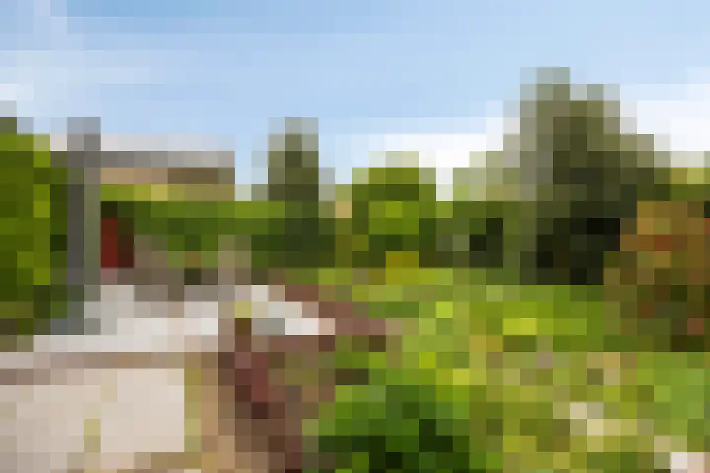 Wethouder Crezeelaan 3 Hooge Zwaluwe thumbnail 35