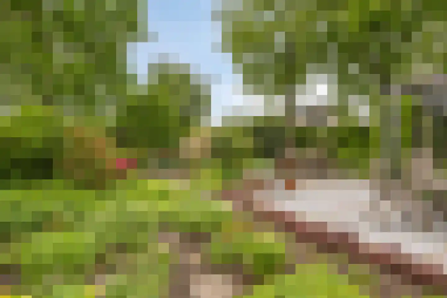 Wethouder Crezeelaan 3 Hooge Zwaluwe thumbnail 36