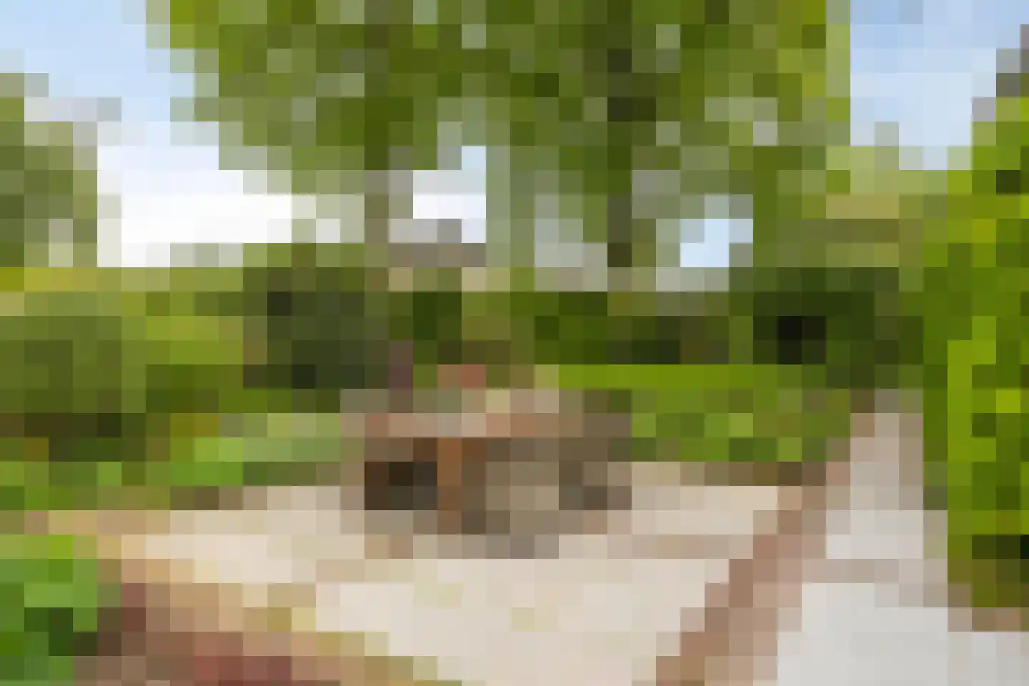 Wethouder Crezeelaan 3 Hooge Zwaluwe thumbnail 39