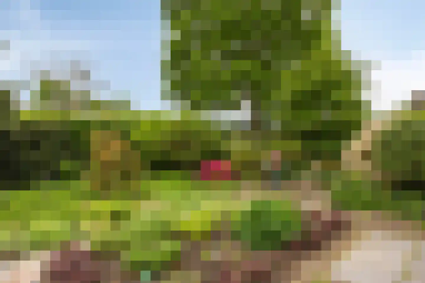Wethouder Crezeelaan 3 Hooge Zwaluwe thumbnail 40