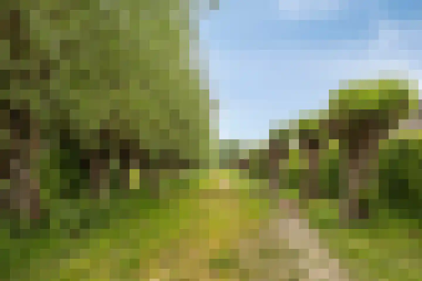 Wethouder Crezeelaan 3 Hooge Zwaluwe thumbnail 41