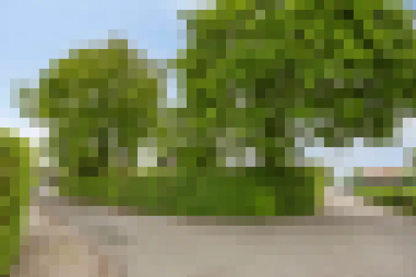 Wethouder Crezeelaan 3 Hooge Zwaluwe thumbnail 46