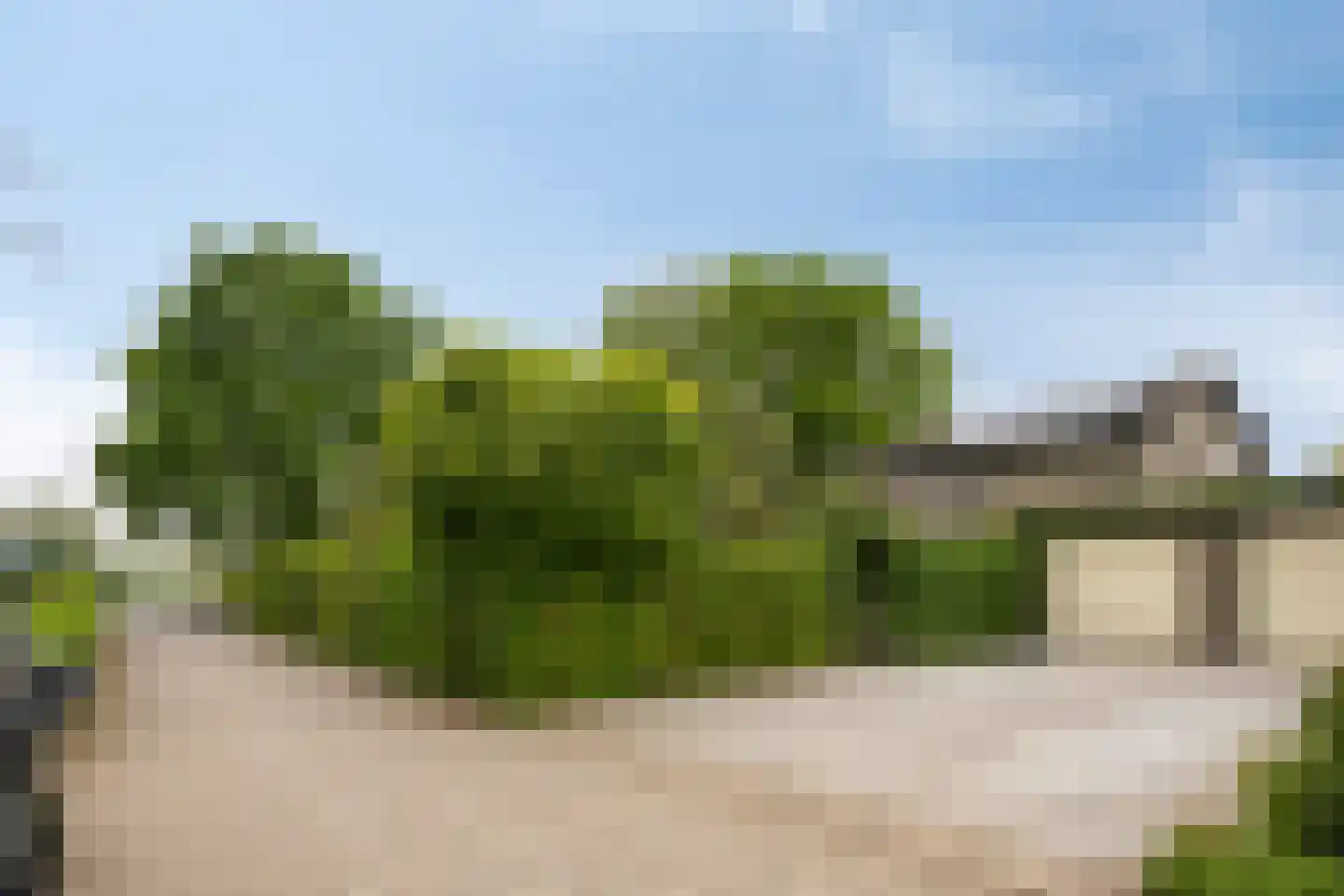 Wethouder Crezeelaan 3 Hooge Zwaluwe thumbnail 5