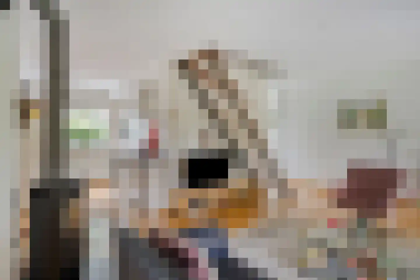 Wethouder Crezeelaan 3 Hooge Zwaluwe thumbnail 7