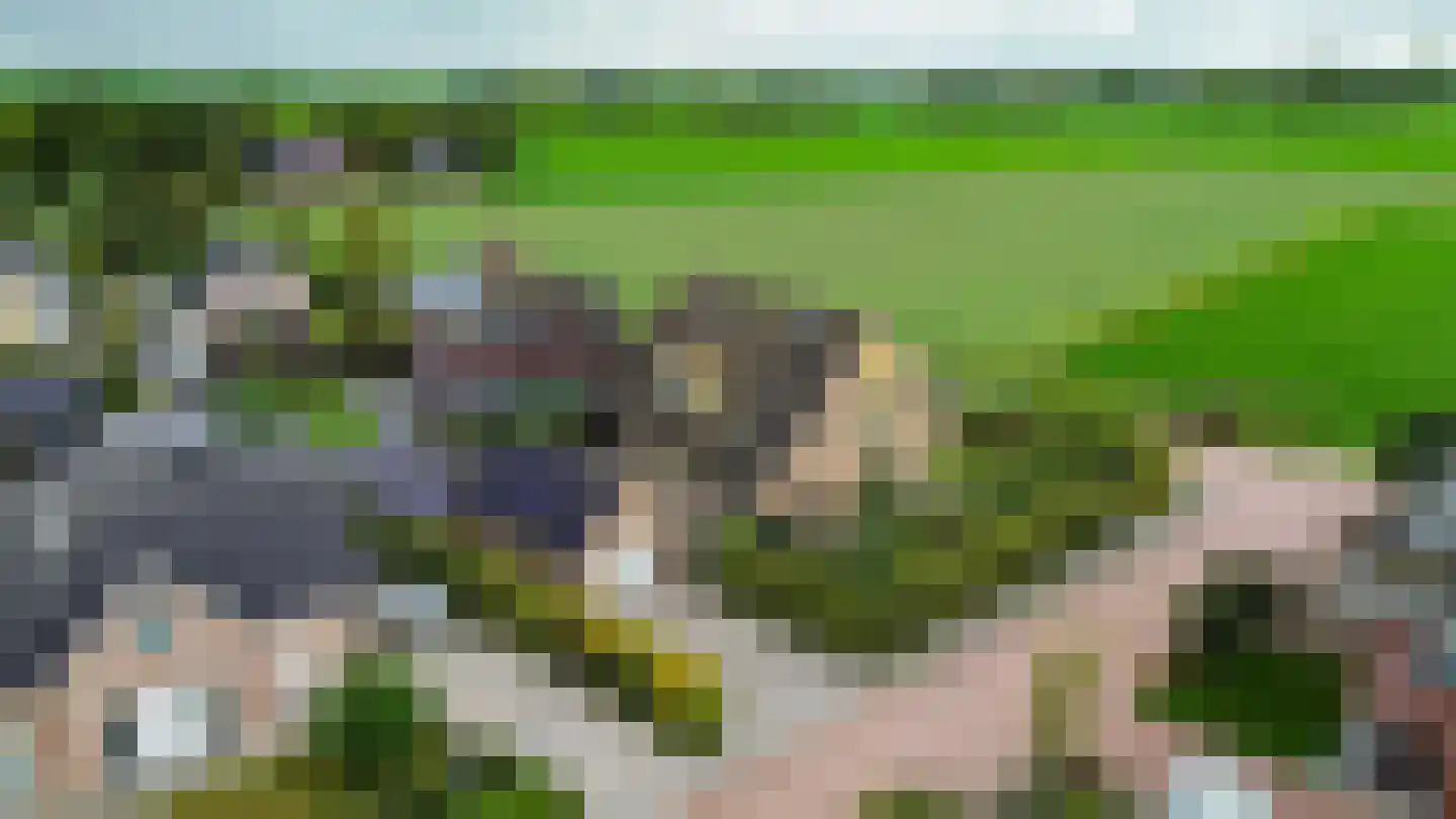 Wethouder D. Kruijerlaan 3 Adorp thumbnail 14