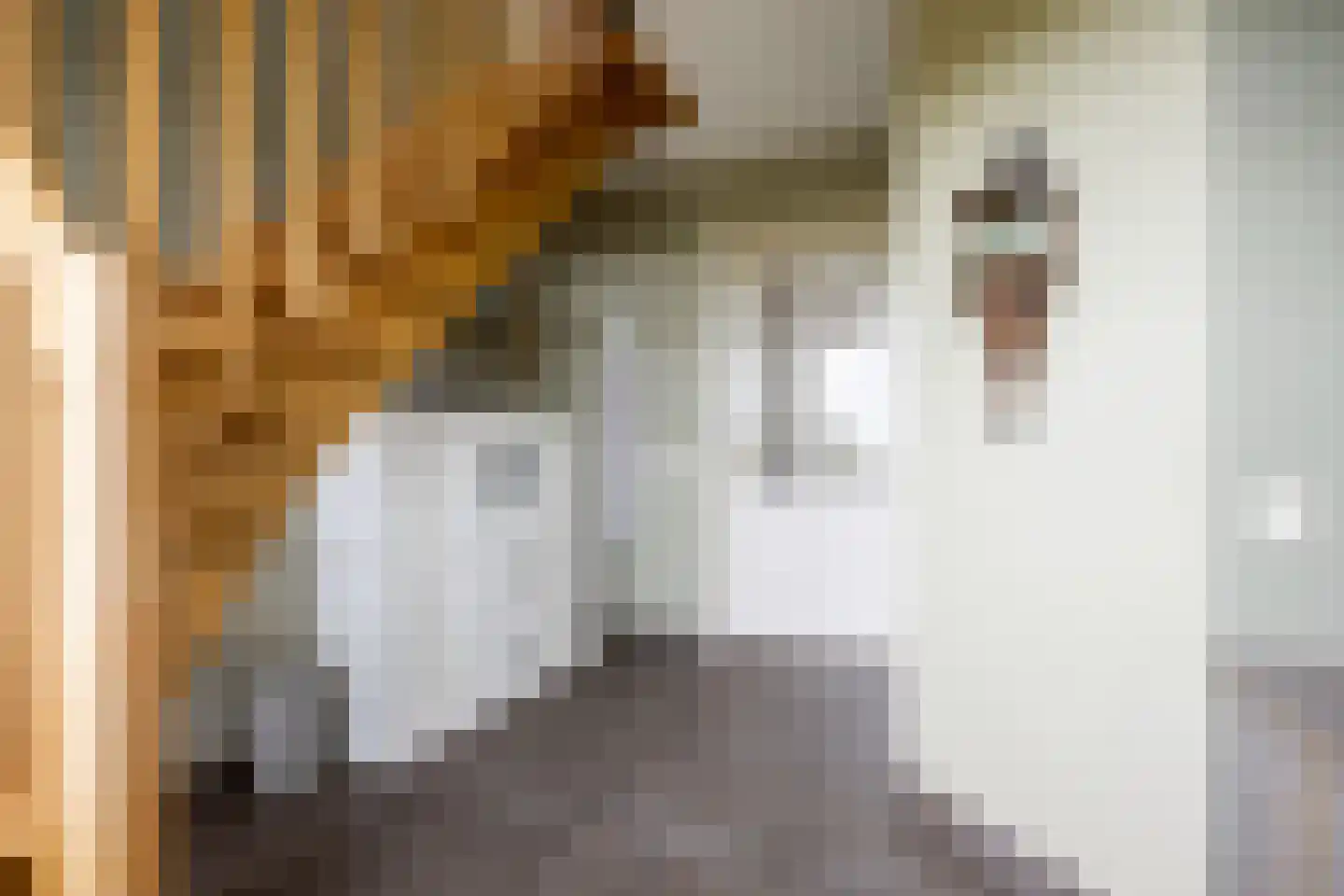 Wethouder D. Kruijerlaan 3 Adorp thumbnail 19