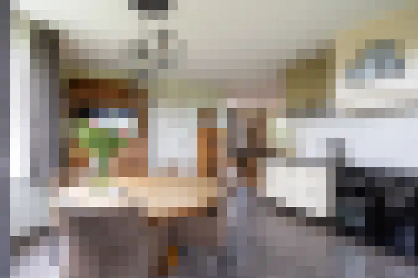 Wethouder D. Kruijerlaan 3 Adorp thumbnail 34