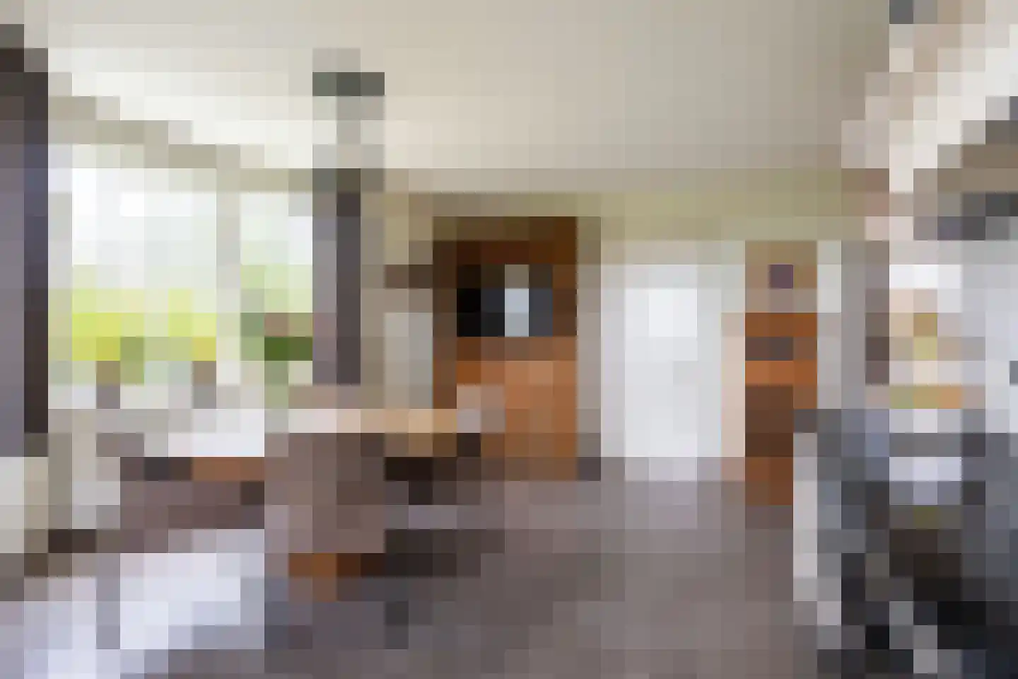 Wethouder D. Kruijerlaan 3 Adorp thumbnail 35