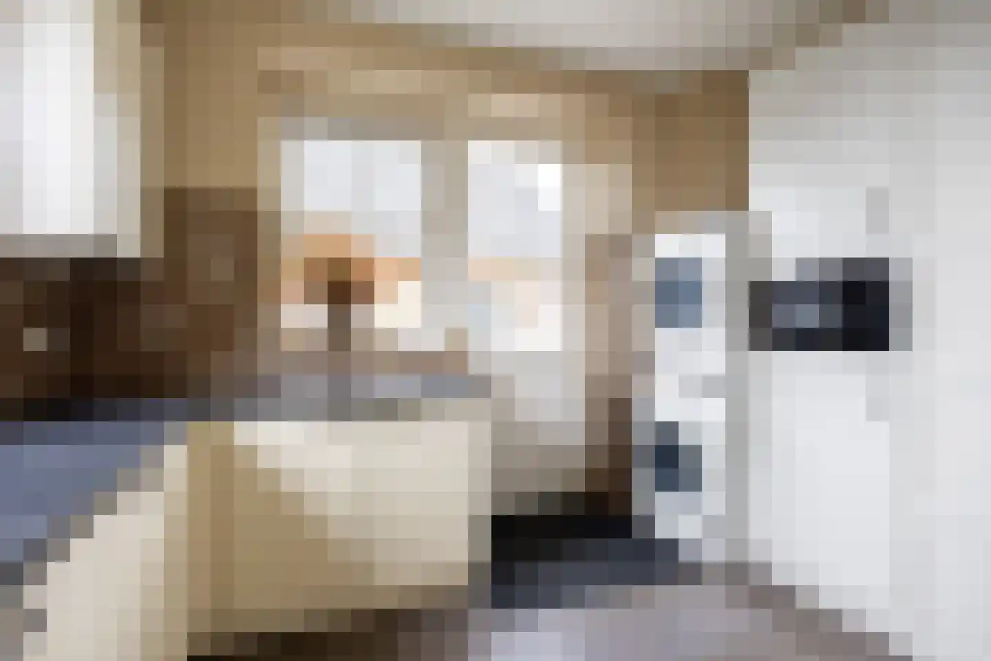 Wethouder D. Kruijerlaan 3 Adorp thumbnail 37