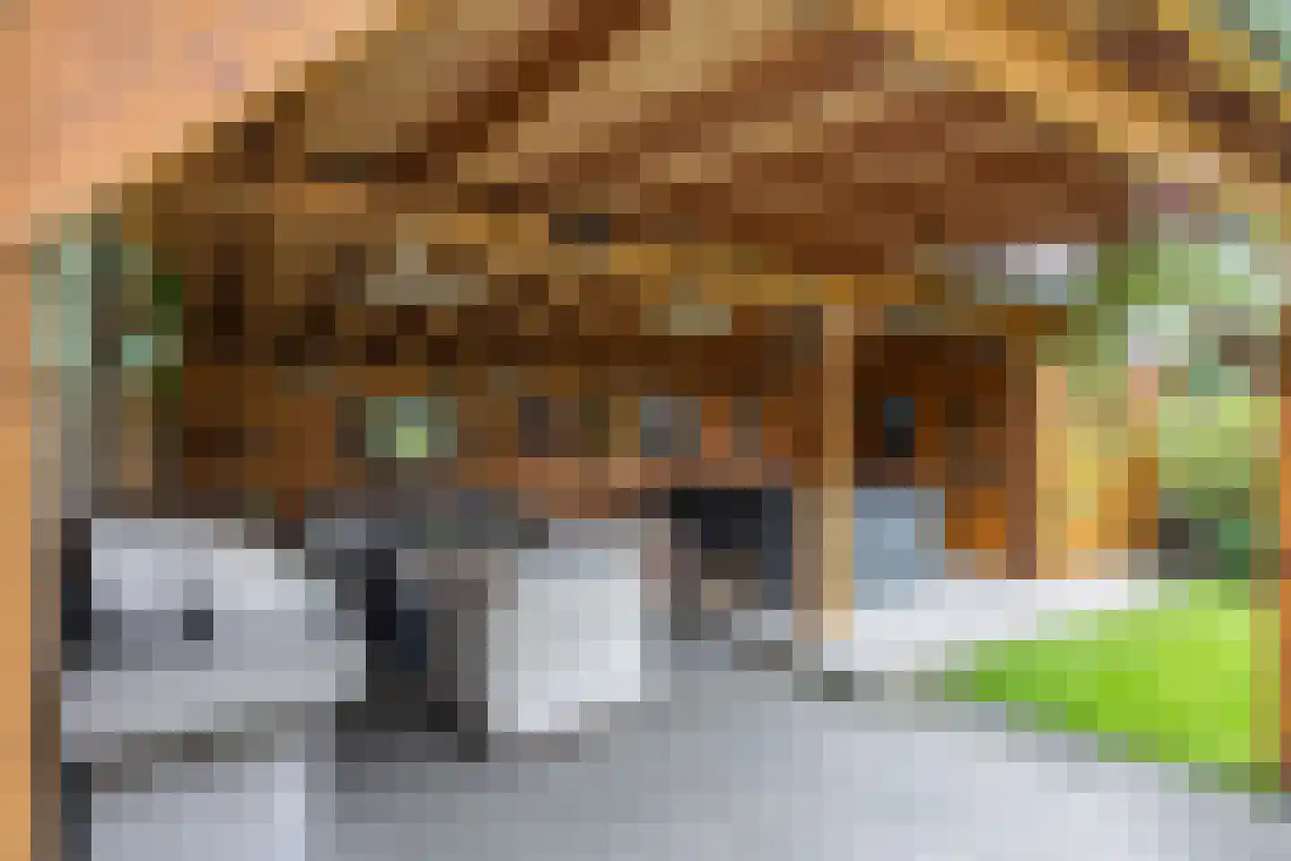 Wethouder D. Kruijerlaan 3 Adorp thumbnail 4