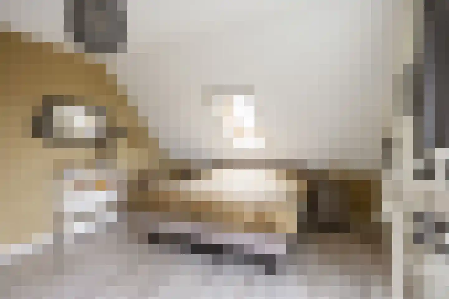 Wethouder D. Kruijerlaan 3 Adorp thumbnail 42