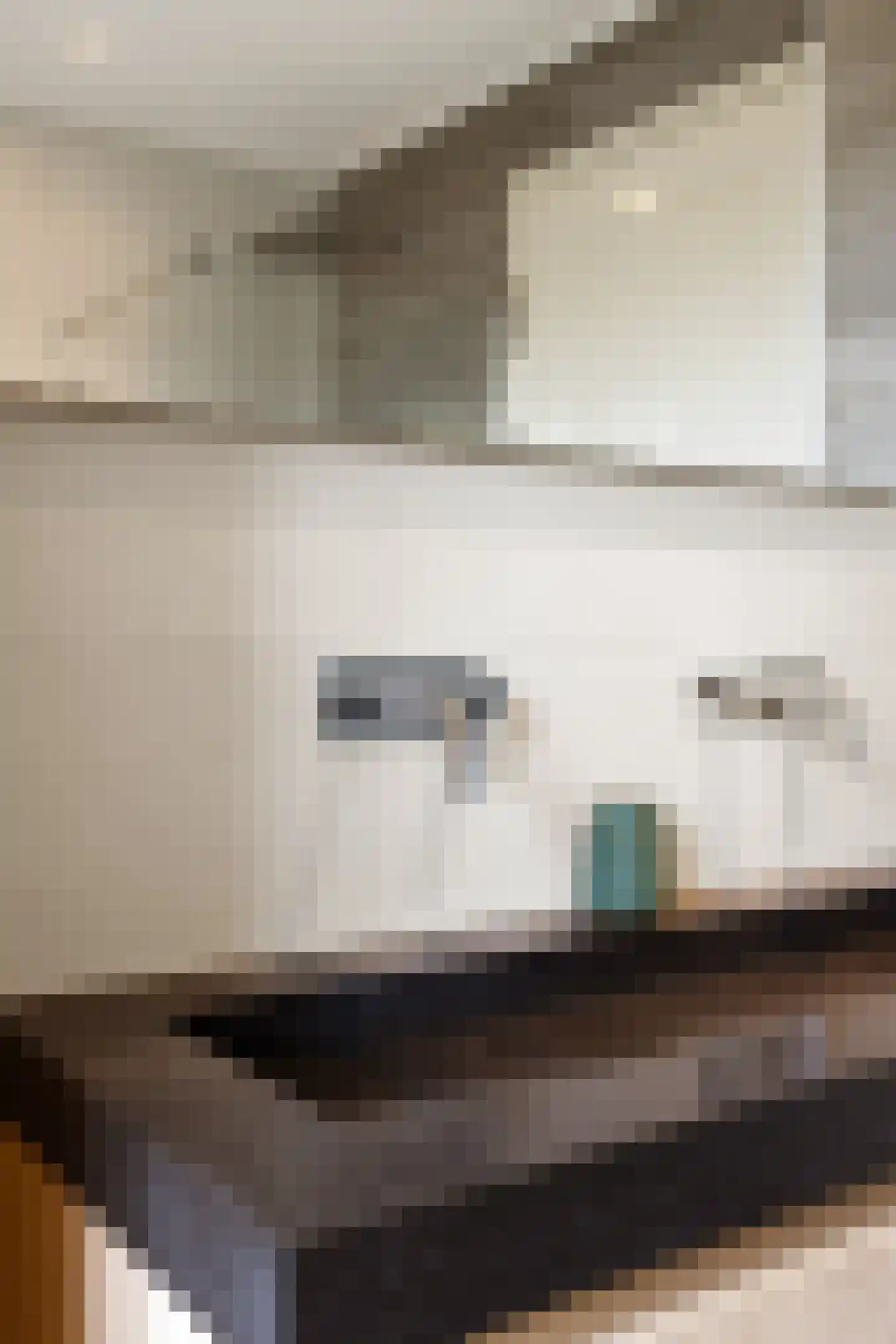 Wethouder D. Kruijerlaan 3 Adorp thumbnail 54