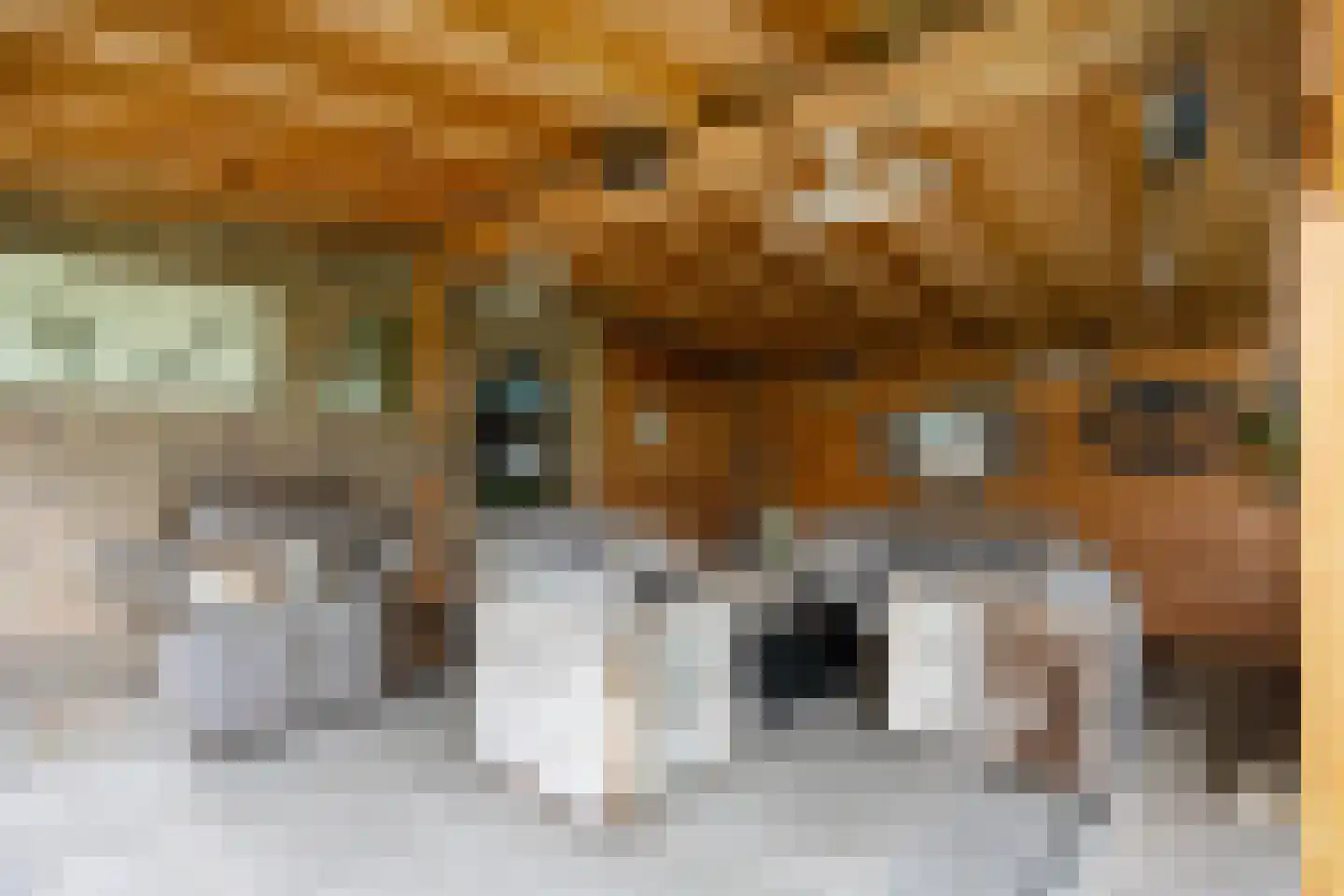 Wethouder D. Kruijerlaan 3 Adorp thumbnail 63