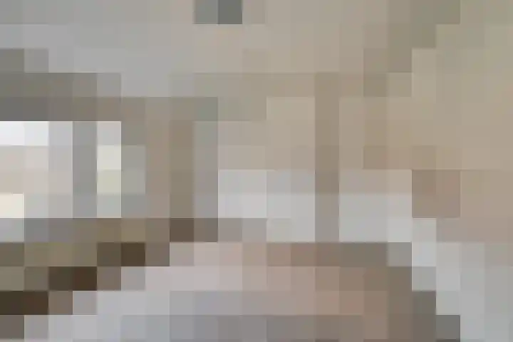 Wethouder de Brouwerstraat 27 Goirle thumbnail 16