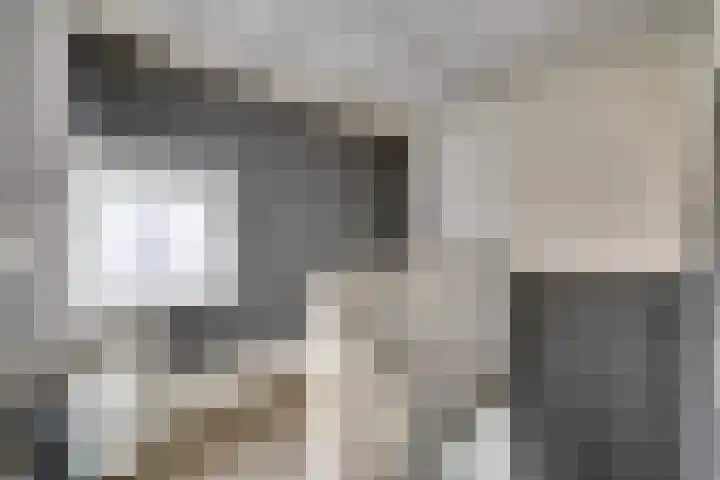Wethouder de Brouwerstraat 27 Goirle thumbnail 22