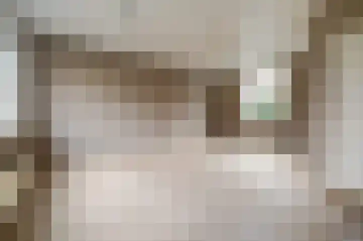 Wethouder de Brouwerstraat 27 Goirle thumbnail 4