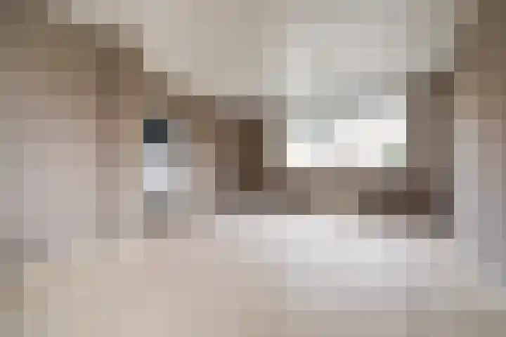 Wethouder de Brouwerstraat 27 Goirle thumbnail 6
