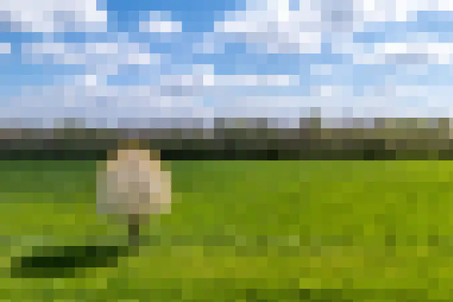 Wethouder de Greeflaan 11 Haarzuilens thumbnail 52