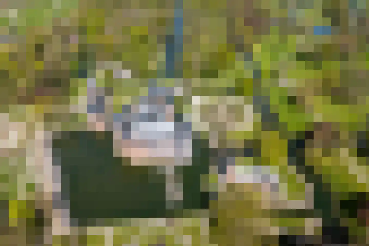 Wethouder de Greeflaan 11 Haarzuilens thumbnail 9