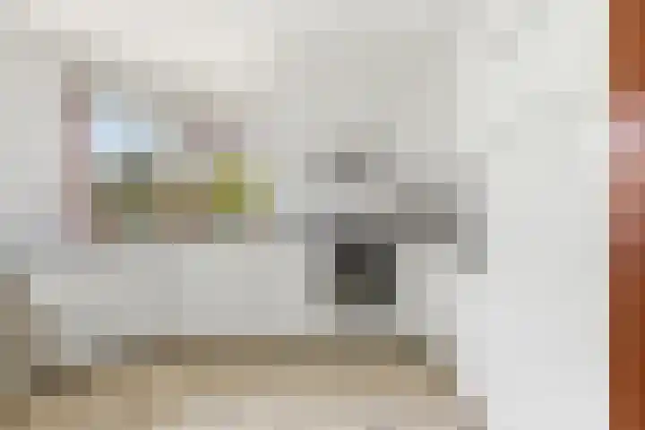 Wethouder De Jongstraat 25 Nieuw-Lekkerland thumbnail 16
