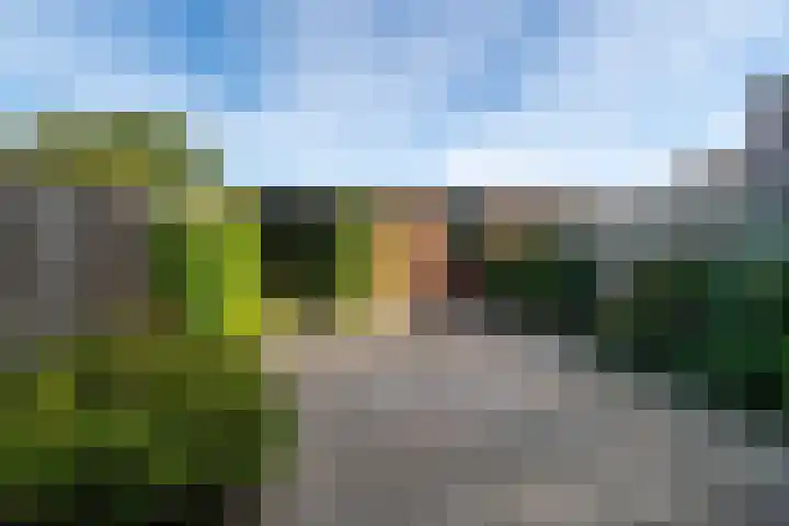 Wethouder de Joodestraat 41 Woudrichem thumbnail 27