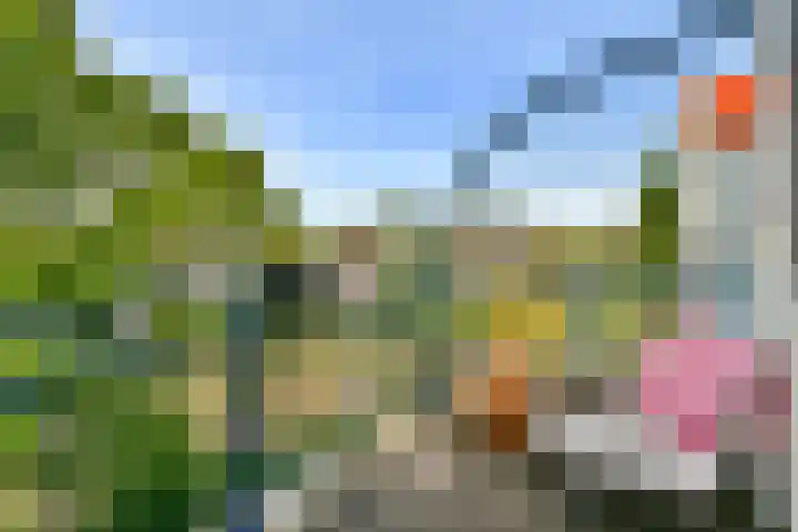 Wethouder De Roosplein 166 Amsterdam thumbnail 7