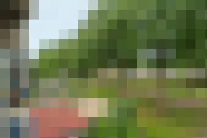 Wethouder De Roosplein 210 Amsterdam thumbnail 23
