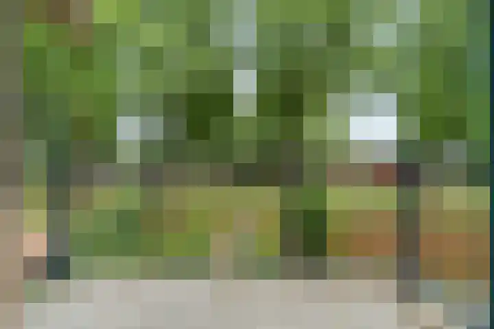 Wethouder De Roosplein 210 Amsterdam thumbnail 7