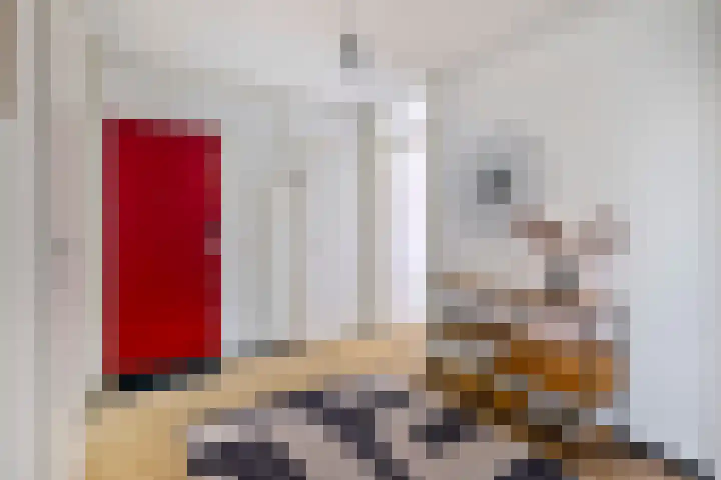 Wethouder De Roosplein 245 Amsterdam thumbnail 26