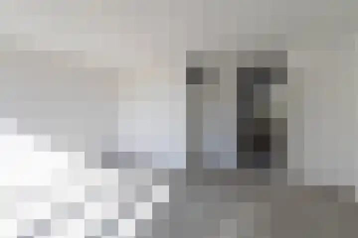 Wethouder De Vriesplantsoen 11 Amsterdam thumbnail 4