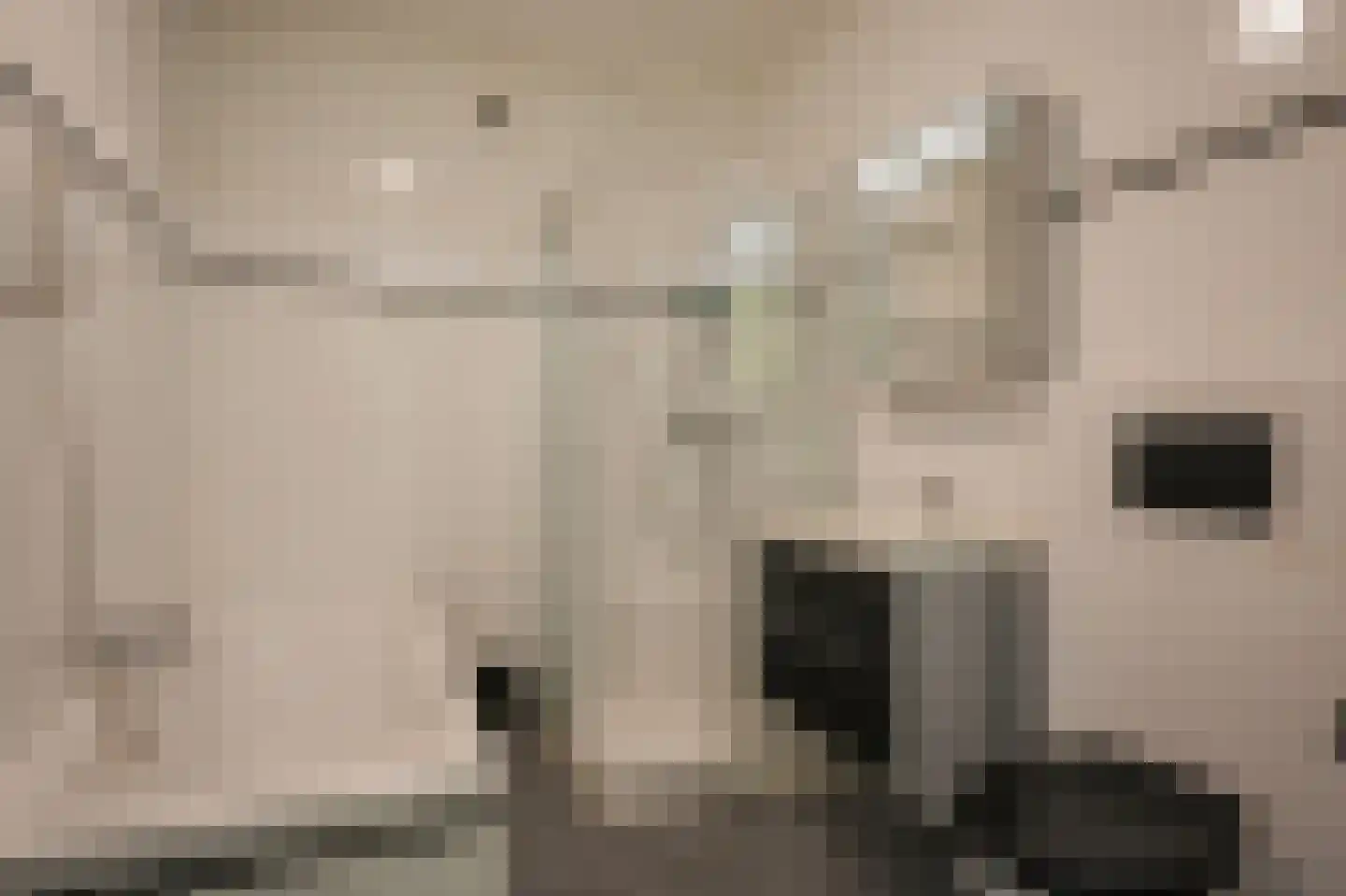 Wethouder den Oudenstraat 12 Helmond thumbnail 9