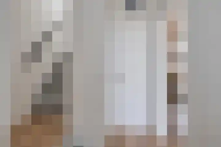 Wethouder Deodatusplantsoen 10 Roden thumbnail 13