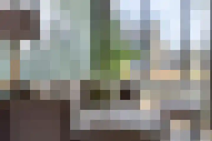 Wethouder Deodatusplantsoen 10 Roden thumbnail 15