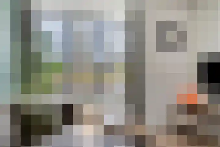 Wethouder Deodatusplantsoen 10 Roden thumbnail 16