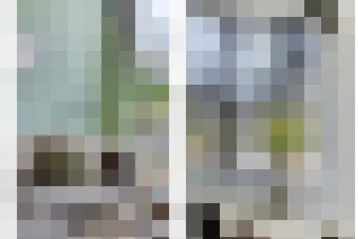 Wethouder Deodatusplantsoen 10 Roden thumbnail 17