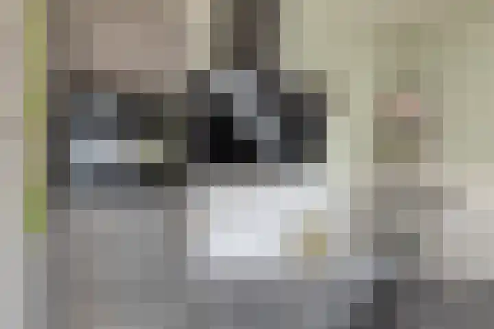 Wethouder Deodatusplantsoen 10 Roden thumbnail 25