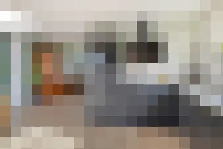 Wethouder Deodatusplantsoen 10 Roden thumbnail 27