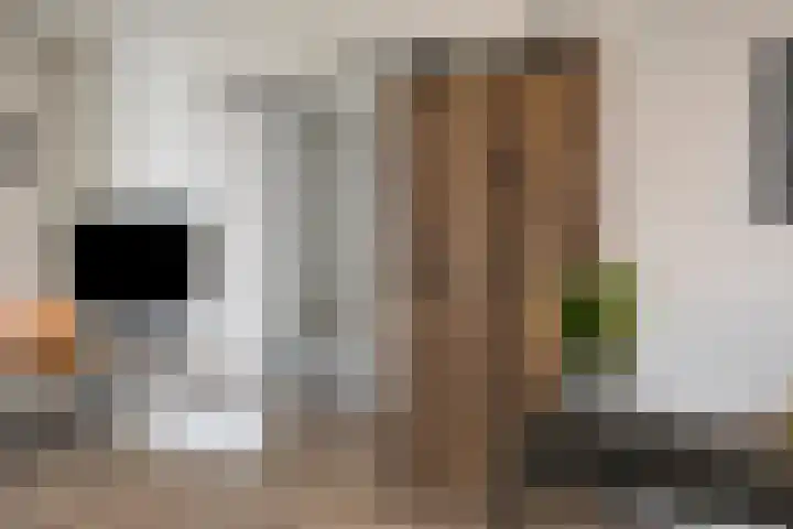 Wethouder Deodatusplantsoen 10 Roden thumbnail 30
