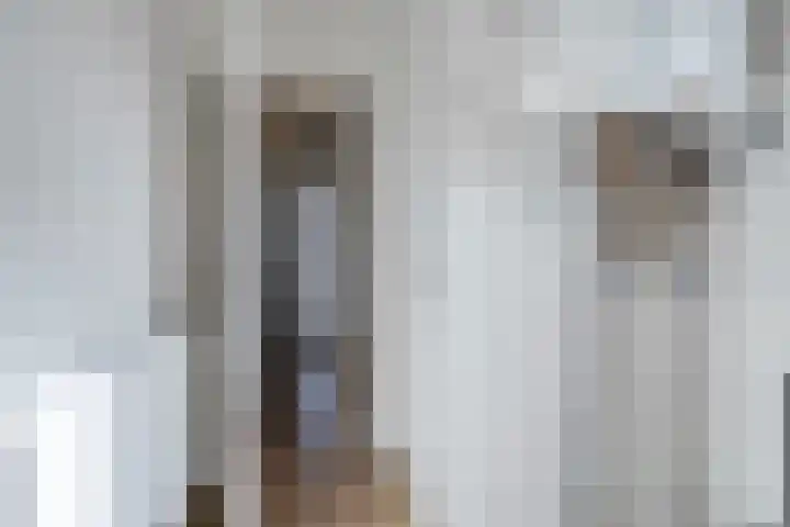 Wethouder Deodatusplantsoen 10 Roden thumbnail 32