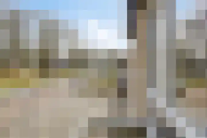 Wethouder Deodatusplantsoen 10 Roden thumbnail 38