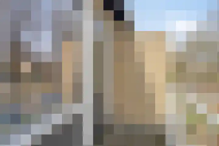 Wethouder Deodatusplantsoen 10 Roden thumbnail 39