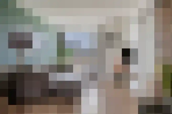 Wethouder Deodatusplantsoen 10 Roden thumbnail 4