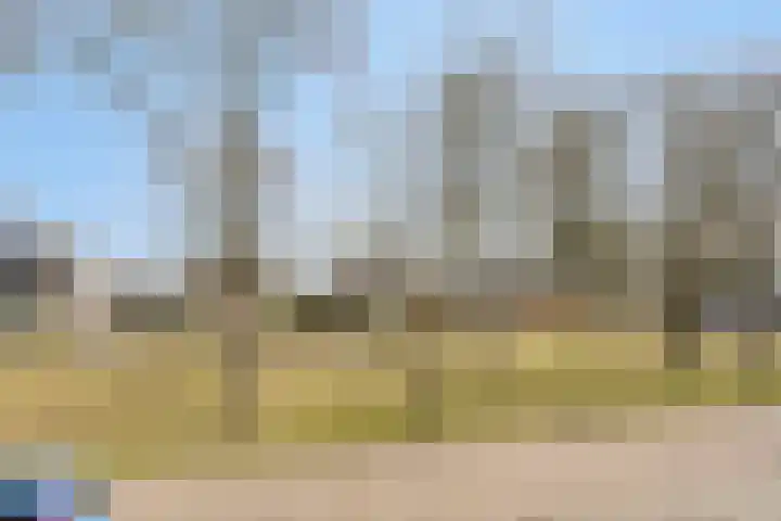 Wethouder Deodatusplantsoen 10 Roden thumbnail 40