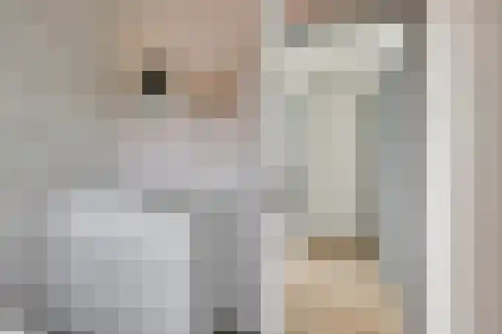 Wethouder Deodatusplantsoen 10 Roden thumbnail 46